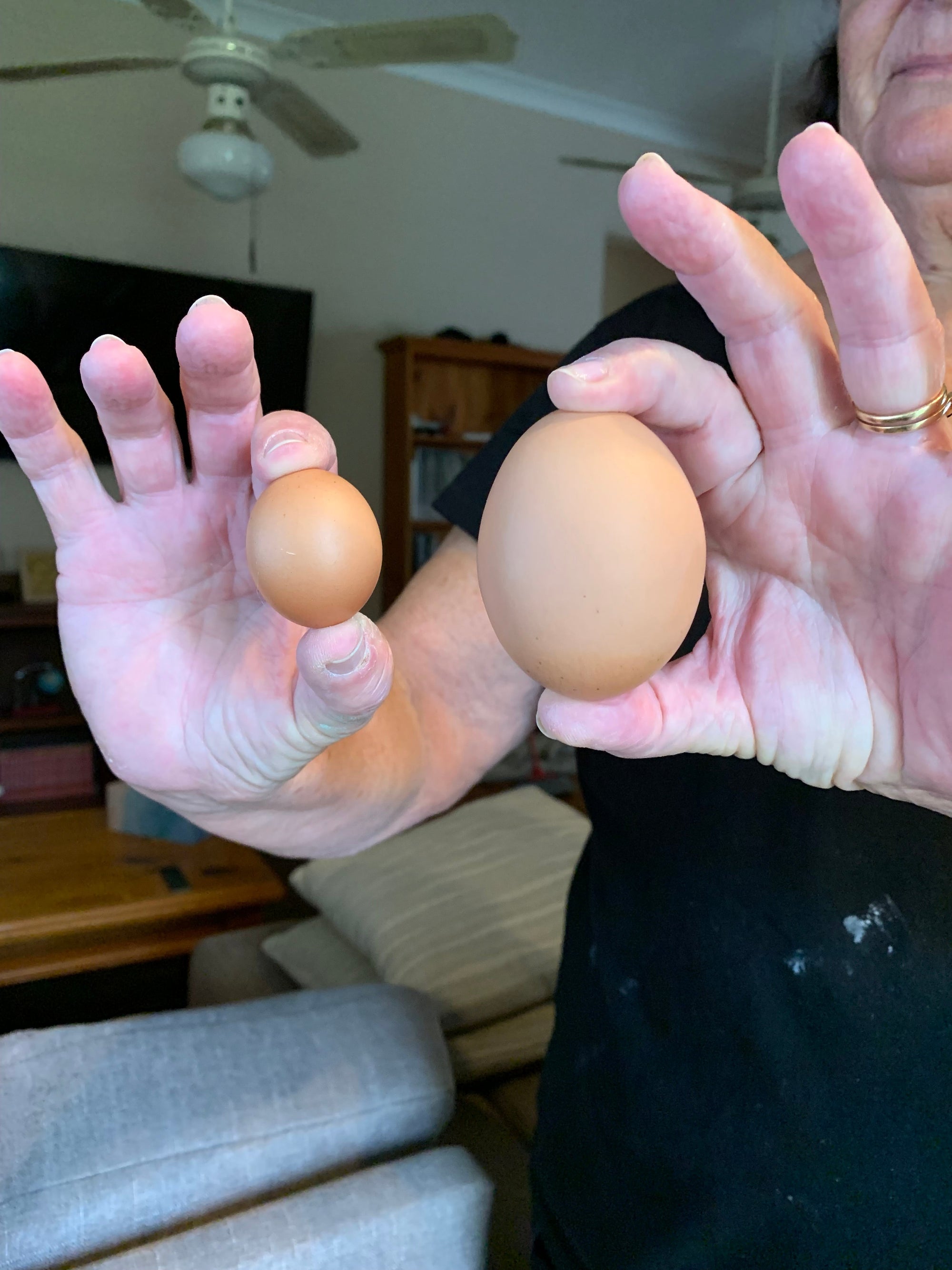 It’s the type, amount and when you eat, that counts!