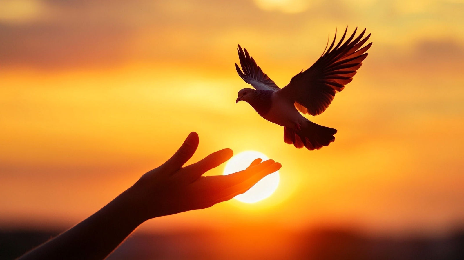 The Power of Forgiveness