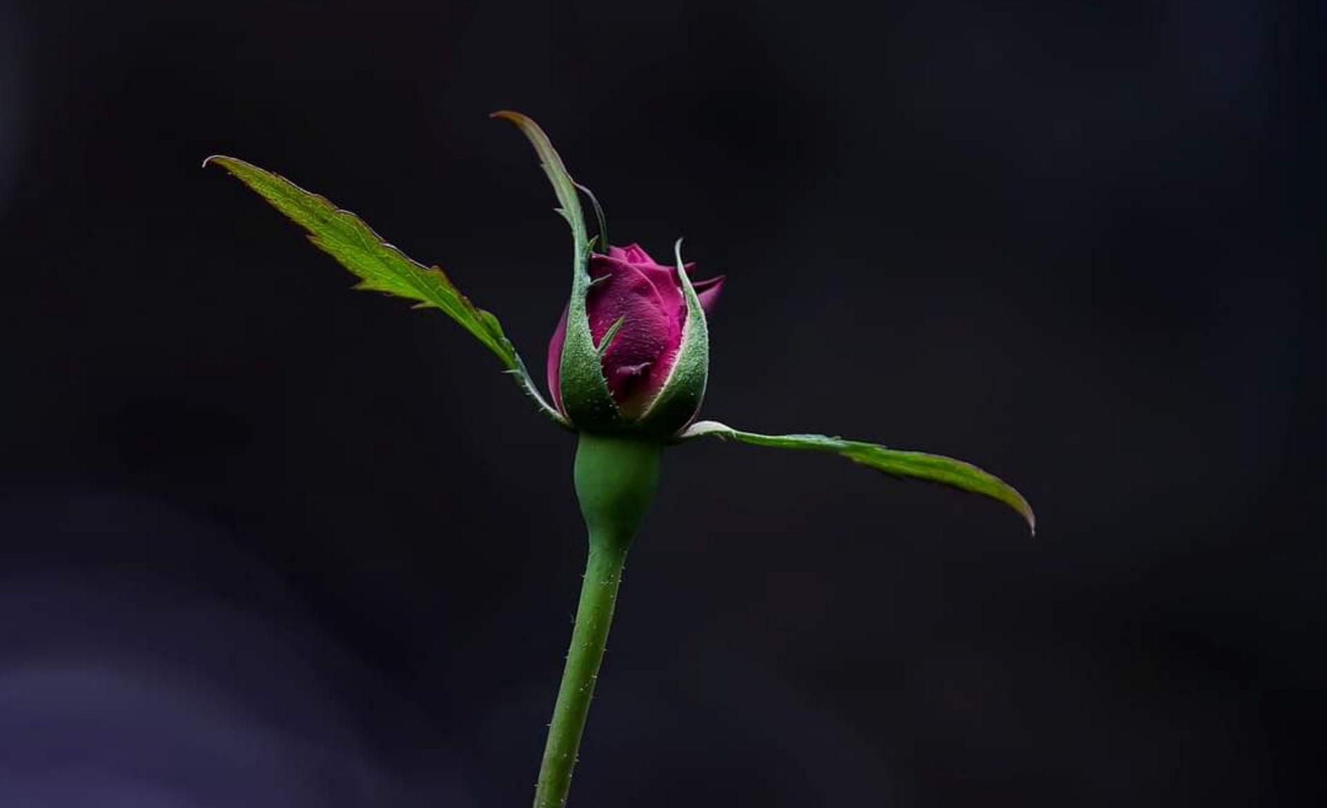 Embracing Imperfection